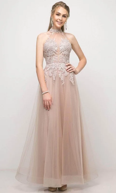 Hot Styles Ladivine UT252 - High Neck Embroidered Tulle Gown